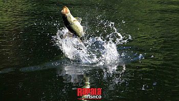 Rapala Pro Bass Fishing Screenshots, , 1366Ã768 Rapala (45 HD wallpaper